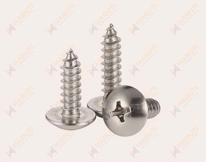 stainless steel screws